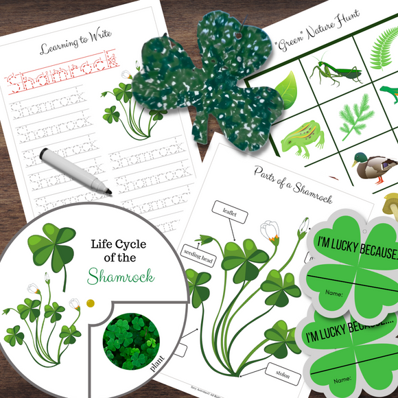 Montessori-Inspired SHAMROCK Clover Life Cycle, Anatomy, Craft, Irish Blessings Bundle