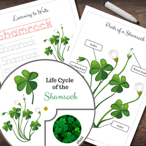Montessori SHAMROCK Life Cycle Anatomy Tracing | ST. Patrick's Day Theme