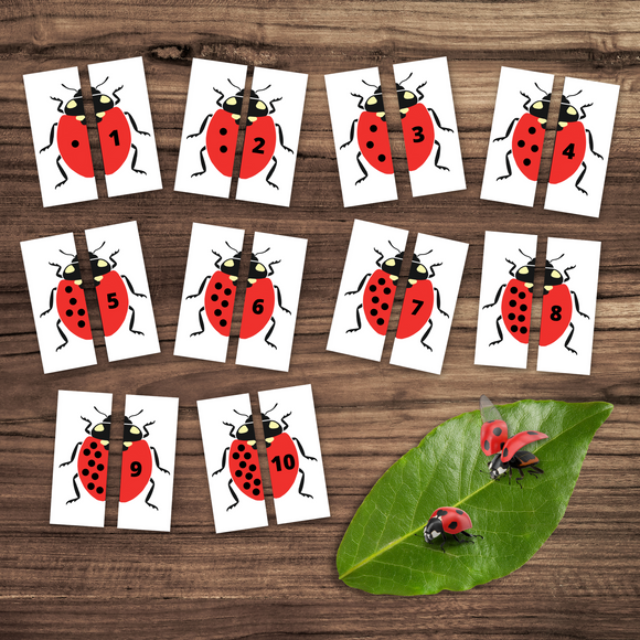 Montessori Inspired LADYBUG Counting Matching Numbers Cards 1-10