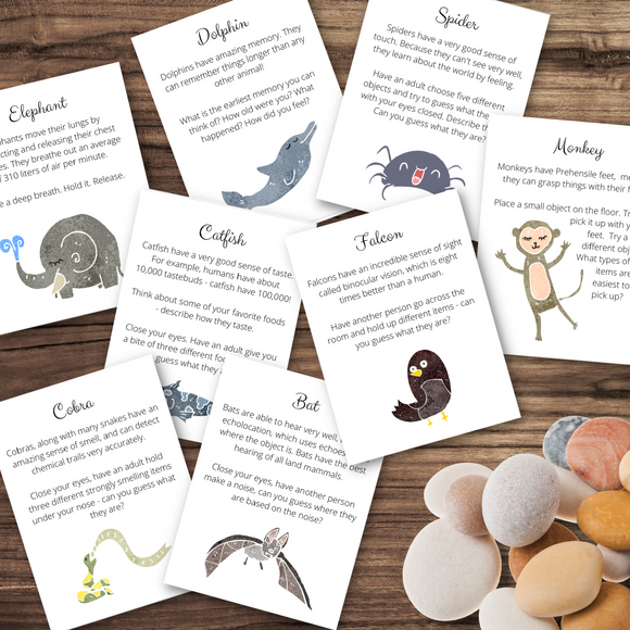 Animal-Themed Mindfulness Cards