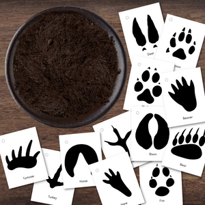 North American Native Animal Tracking Tracks Activity Footprint Flashcards & DIY "Soil"