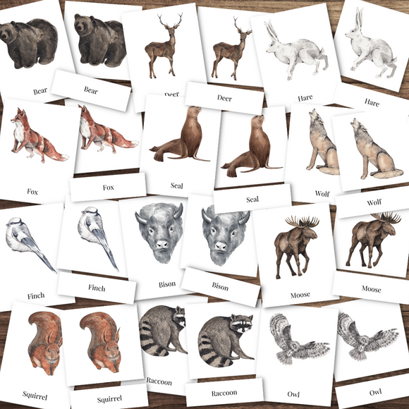 Animals of NORTH AMERICA Color Watercolor Montessori Three-Part Cards
