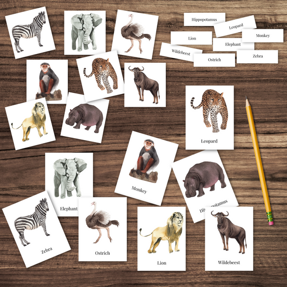 Montessori Inspired Savannah Safari African Animals Watercolor 3-Part Cards
