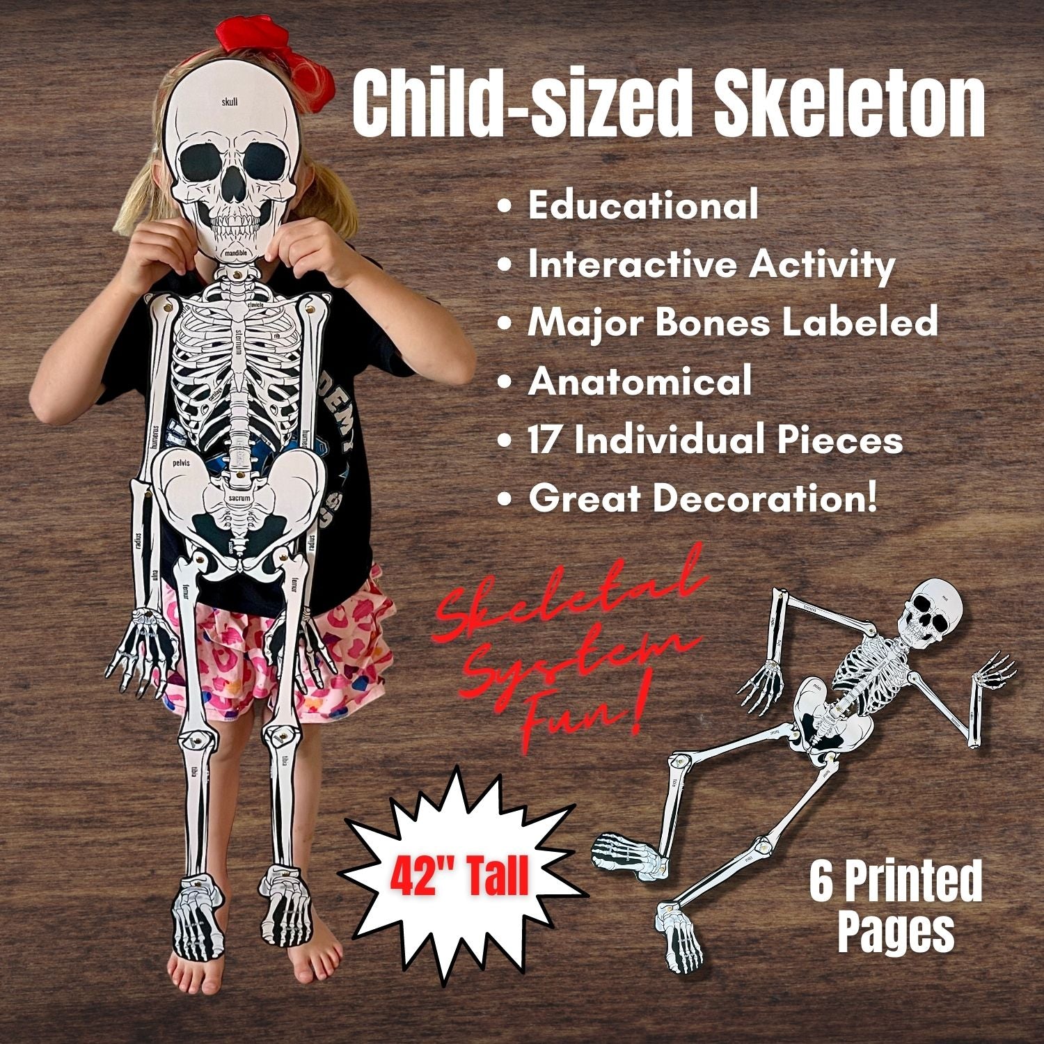 FULL SIZE (Child) Cut-Out Connectable Anatomy Skeleton w/ Bone Names – Savy Activities for Free Printable Life Size Skeleton